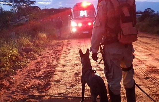 Corpo de Bombeiros do municipio de Confresa realiza ação com cães farejadores nas buscas por jovem desaparecida