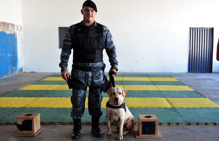 Força Tática Araguaia terá cães para atuar no combate às drogas