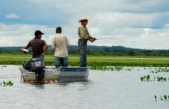 Semad proíbe pesca na bacia do Rio Araguaia após morte inexplicada de peixes