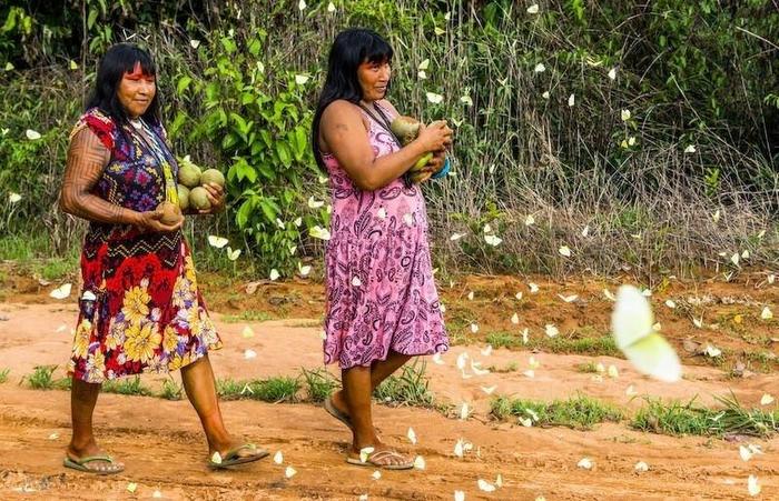 Contra covid, indígenas exigem quarentena de mesários e ameaçam vetar urnas