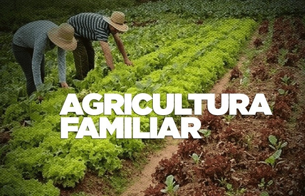 Agricultores familiares de assentamentos rurais de Vila Rica receberão títulos de propriedade da terra 
