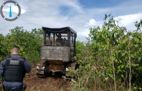Duas pessoas são presas após flagrante de desmatamento ilegal na zona rural de Confresa