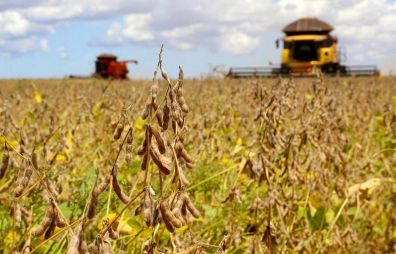 Lavouras de Mato Grosso já produzem 30% da safra nacional de grãos e plumas